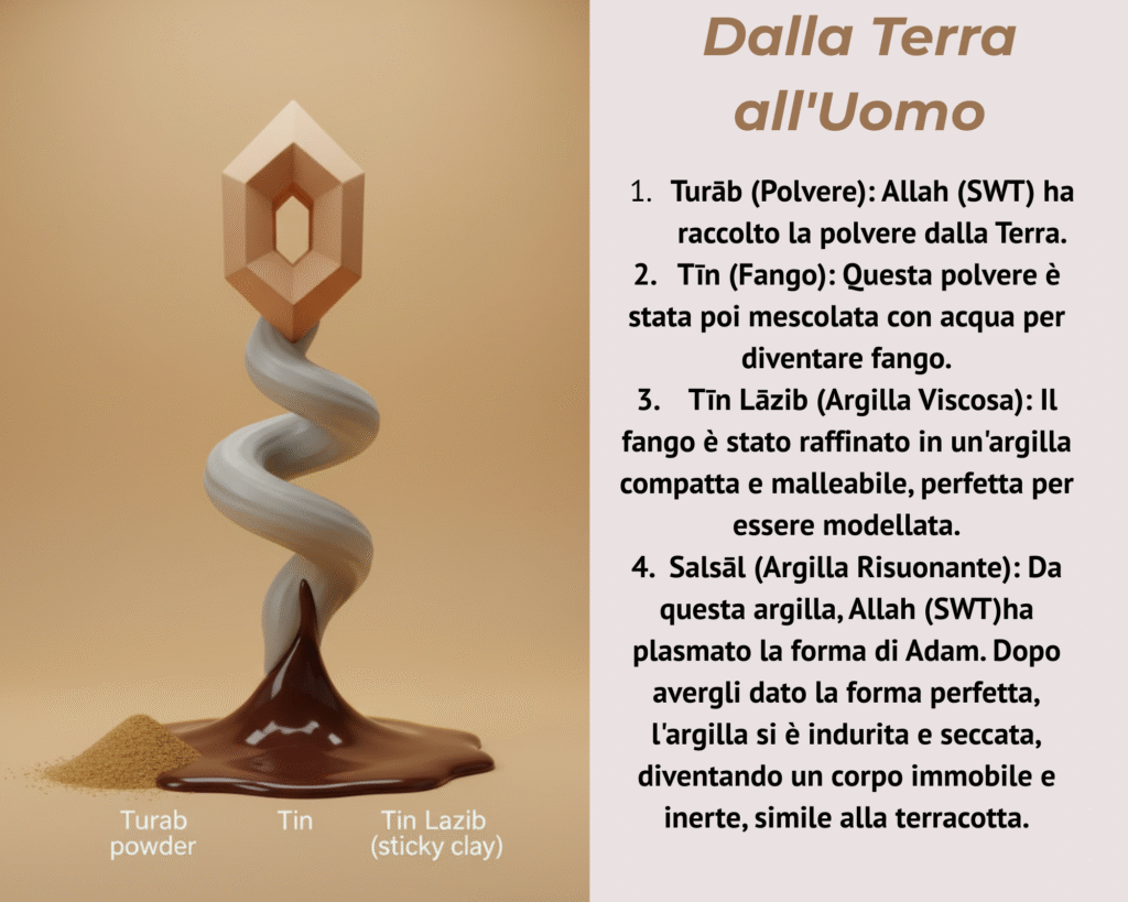 Allah (swt) annunciò agli Angeli la Sua intenzione di creare un vicario sulla Terra. Così, da un'umile argilla, da polvere e fango, il Profeta Adam (as) prese forma. Un inizio terreno per una creazione di straordinaria dignità.