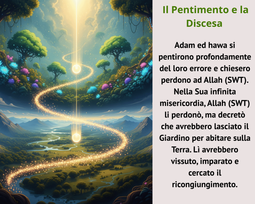 Con la consapevolezza del loro errore, il rimorso li colse. Immediatamente, Adam(as) e Hawa si pentirono e invocarono il perdono di Allah (swt), riconoscendo la Sua infinita misericordia e la propria fragilità. Questo è il primo insegnamento del pentimento sincero.